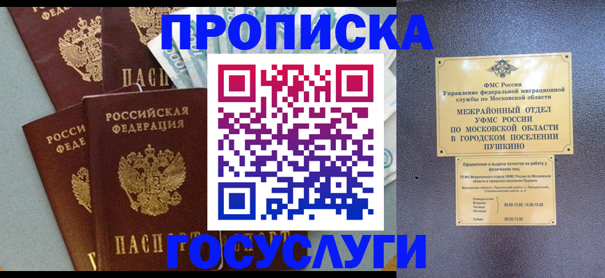 прописка гарантия в Бийске